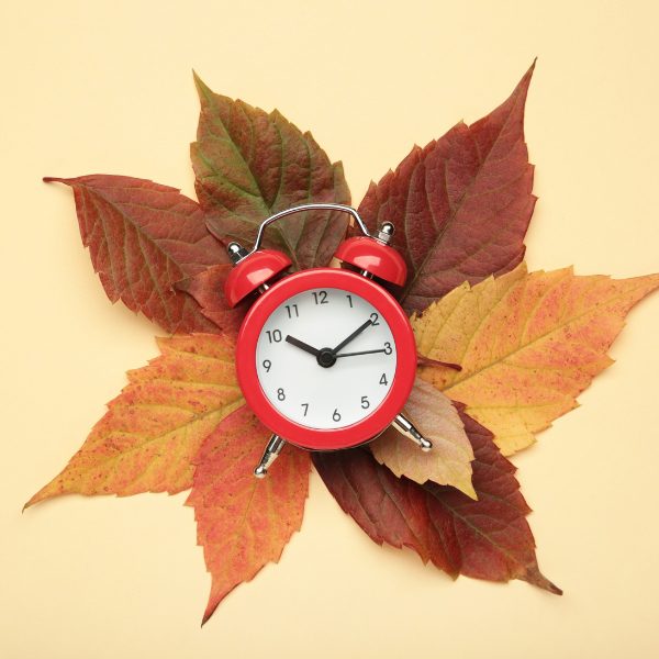 newsletter_fall_back