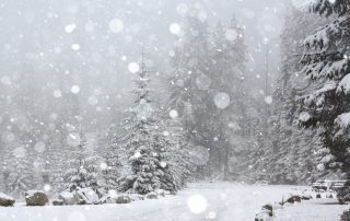 Winter scenic photo from the Newsletter for November 2025.