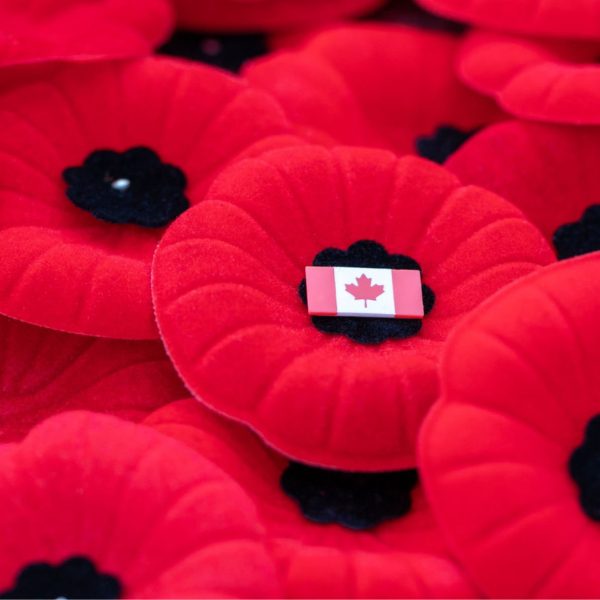 Remembrance Day RM of Reynolds Image of lapel poppies.