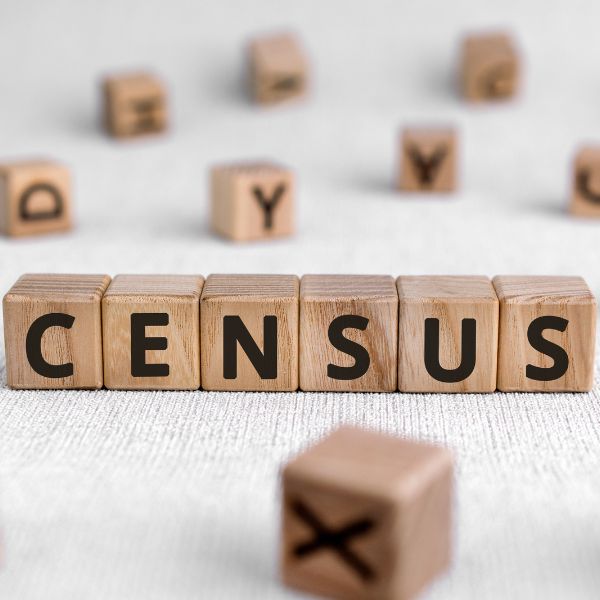 April Newsletter 2026 Census is Coming in May Image of blocks with letters on them. In the centre of the image, the blocks come together and spell the word Census.